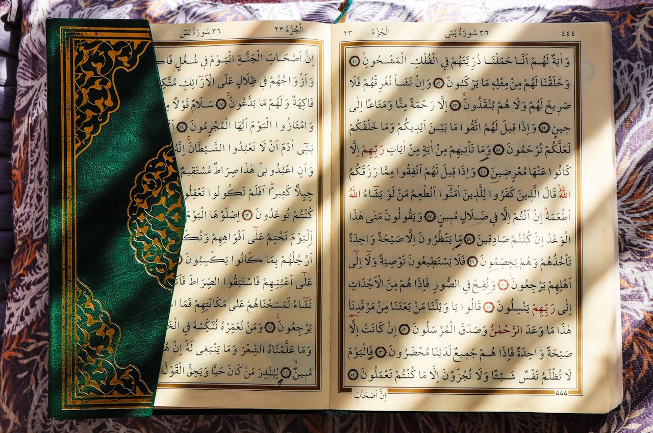 Learn Tajweed Rules with Examples
